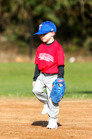 Youth Sports