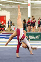 Gymnastics