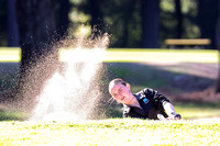 Rogers at Spanaway Lake